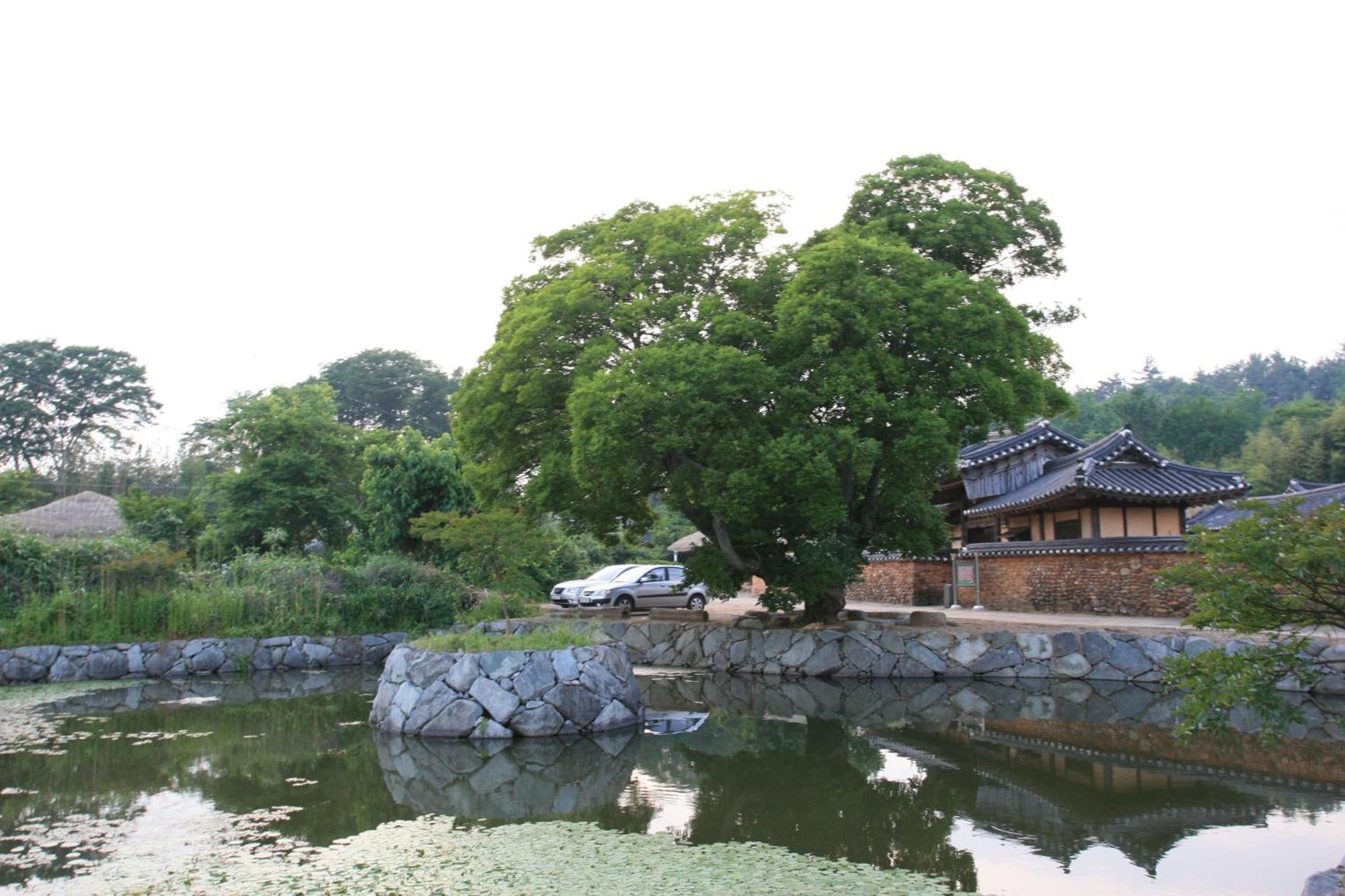Jinrae Lee'S Traditional House Boseong Eksteriør bilde